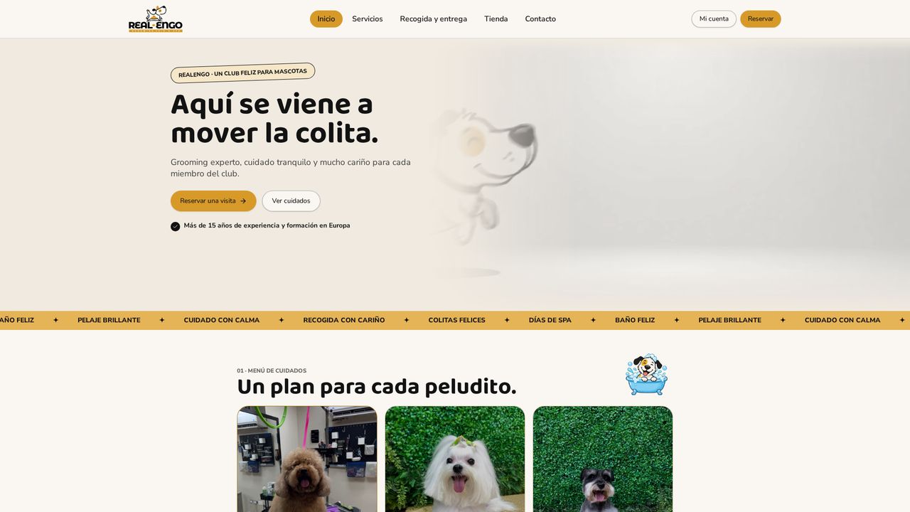 Captura del sitio de Realengo
